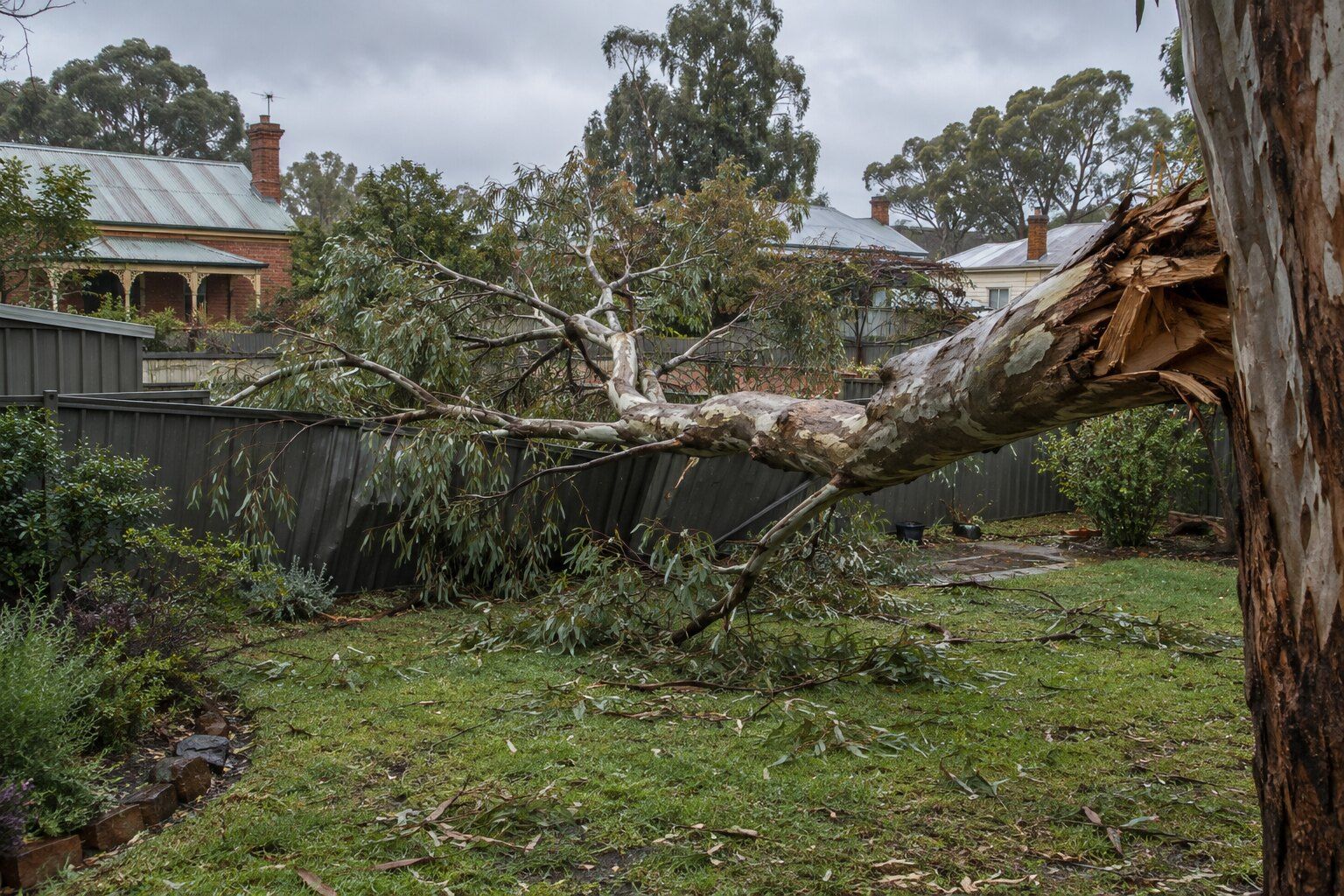 Emergency tree removal, Bendigo: broken gum limb lying across a damaged backyard fence after a storm